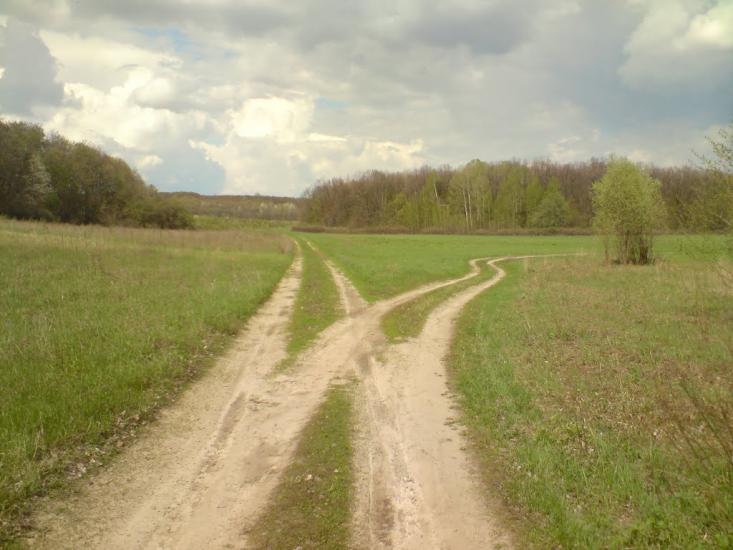 Кардашівка з panoramio.com - Кардашівка