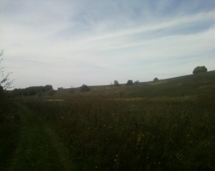 Синява з panoramio.com - Синява