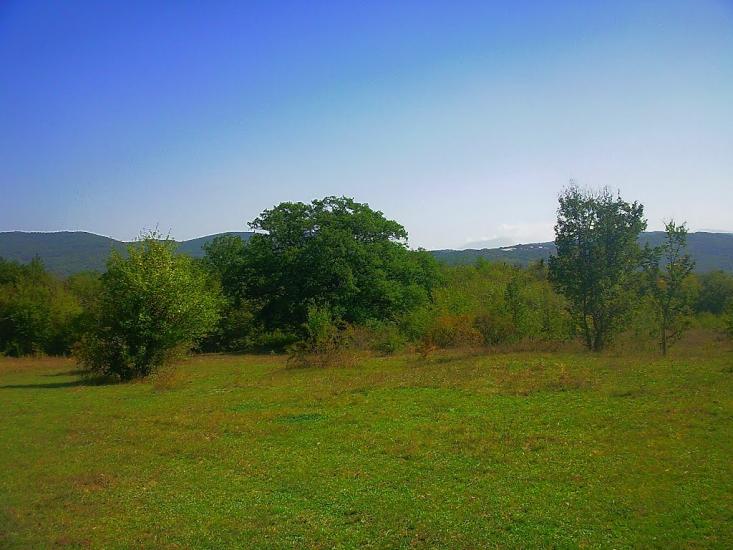Синапне з panoramio.com - Синапне