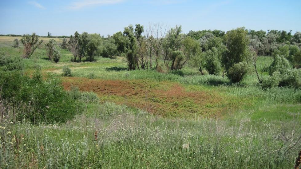 Лупареве з panoramio.com - Лупарево