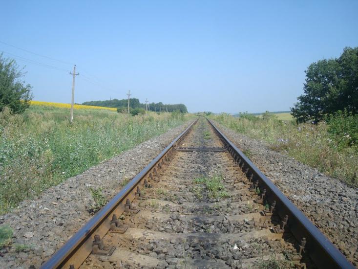 Тарасівка з panoramio.com - Тарасівка