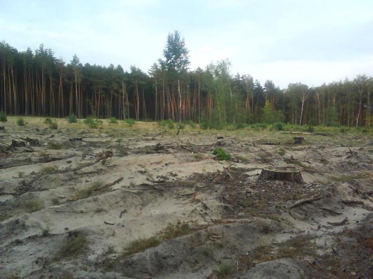 Охтирка з panoramio.com - Ахтырка