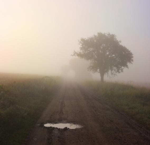 Жуличі з panoramio.com - Жуличи