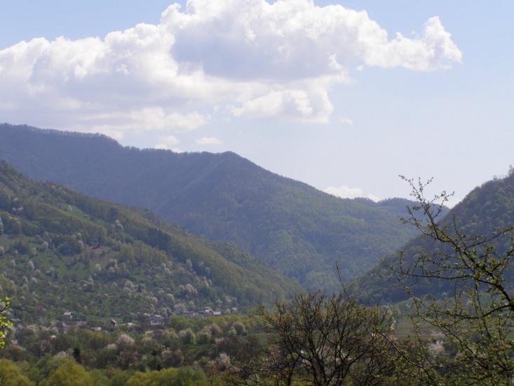 Луг з panoramio.com - Луг