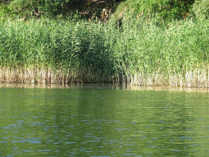 Хотімля з panoramio.com - Хотимля
