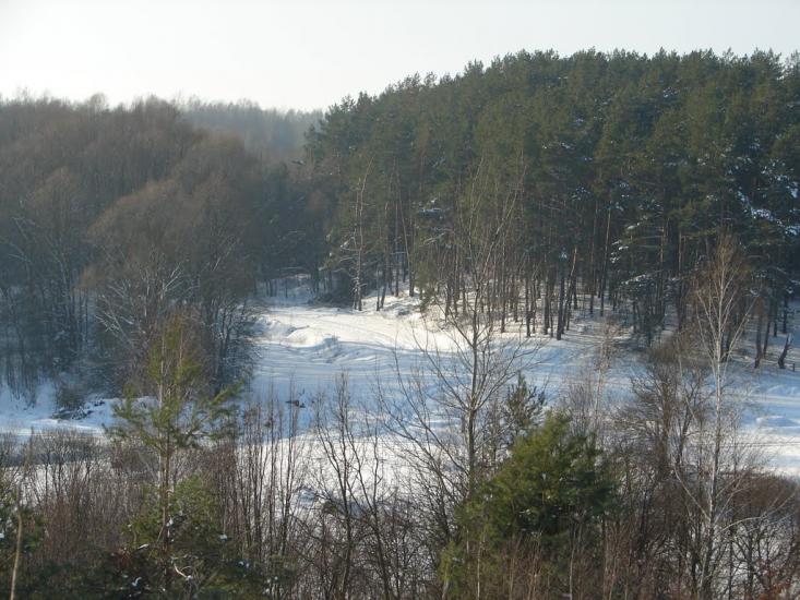 Мохначі з panoramio.com - Мохначі
