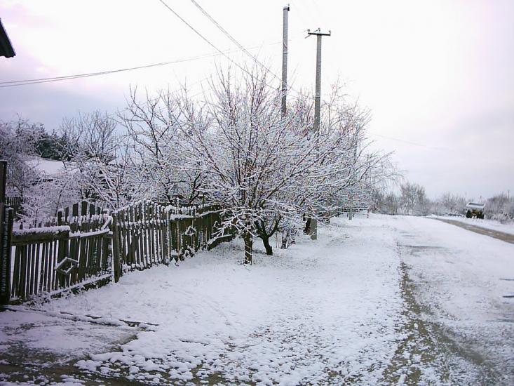 Половинкине з panoramio.com - Половинкине