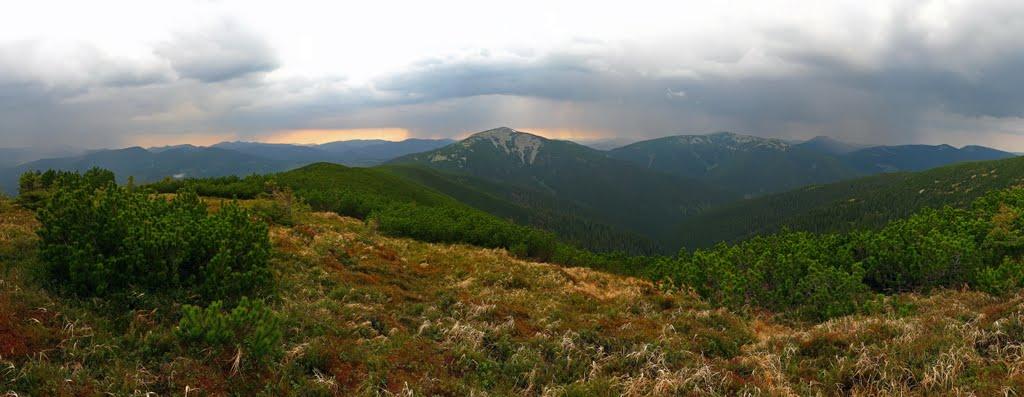 Осмолода з panoramio.com (ч.2) - Осмолода