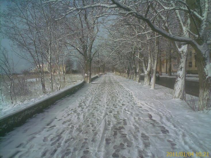 Саки з panoramio.com - Саки