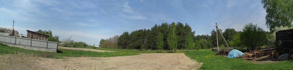 Гаруша з panoramio.com - Garusha