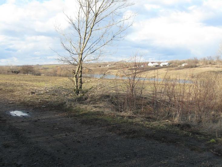 Мала Помічна з panoramio.com - Мала Помічна