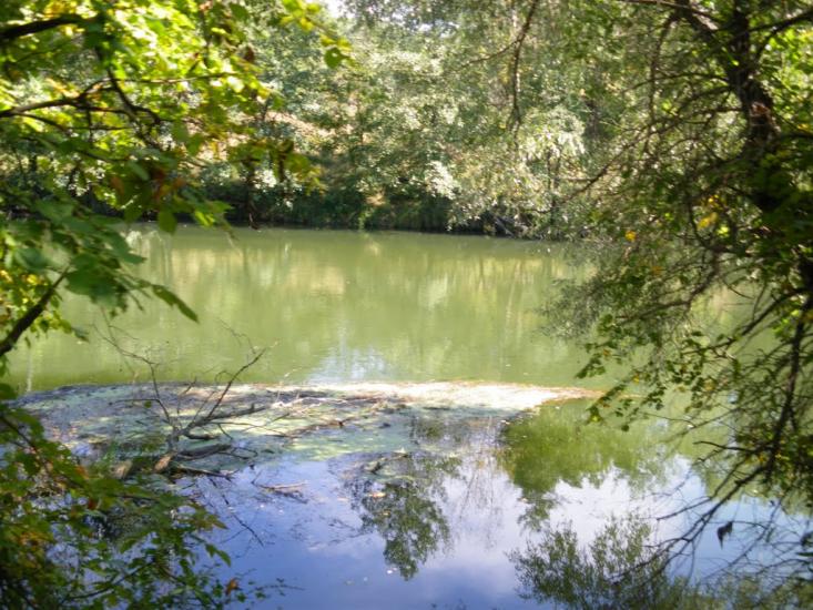 Букине з panoramio.com - Букине