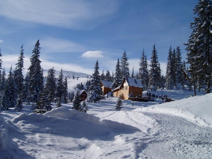 Вільховатий з panoramio.com - Vilkhovatyy