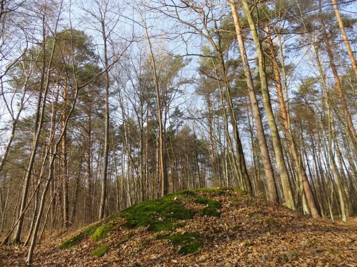 Гайове з panoramio.com - Гайове