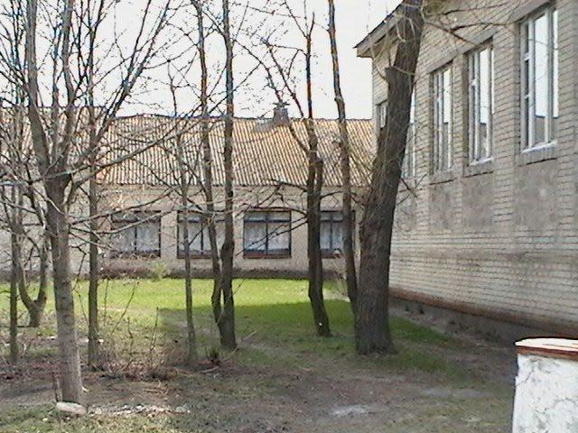 Шевченківське з panoramio.com - Шевченковское