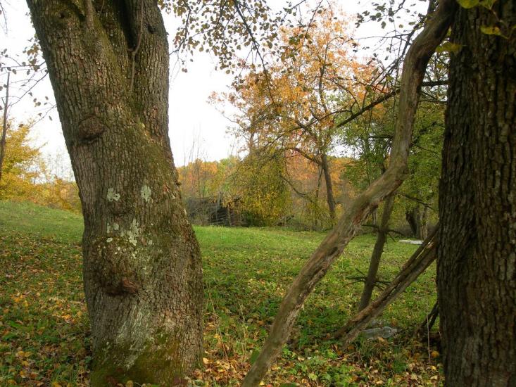 Великий Ключів з panoramio.com - Великий Ключів