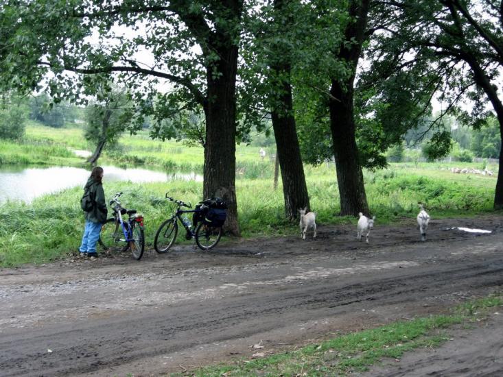 Берездів з panoramio.com - Берездов