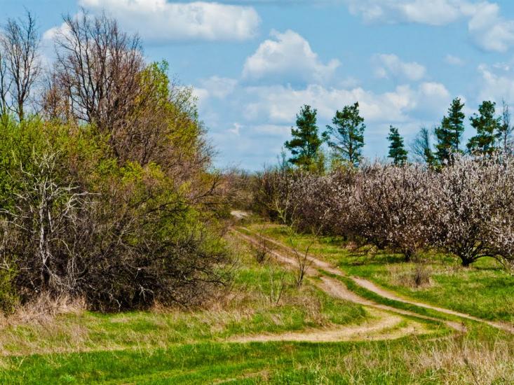 Слов'яносербськ з panoramio.com - Славяносербск