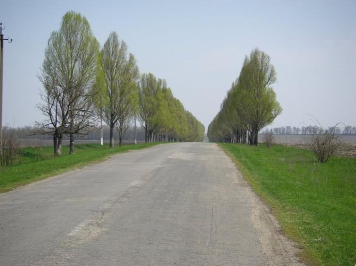 Миколай-Поле з panoramio.com - Миколай-Поле