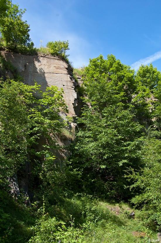 Буки з panoramio.com - Буки
