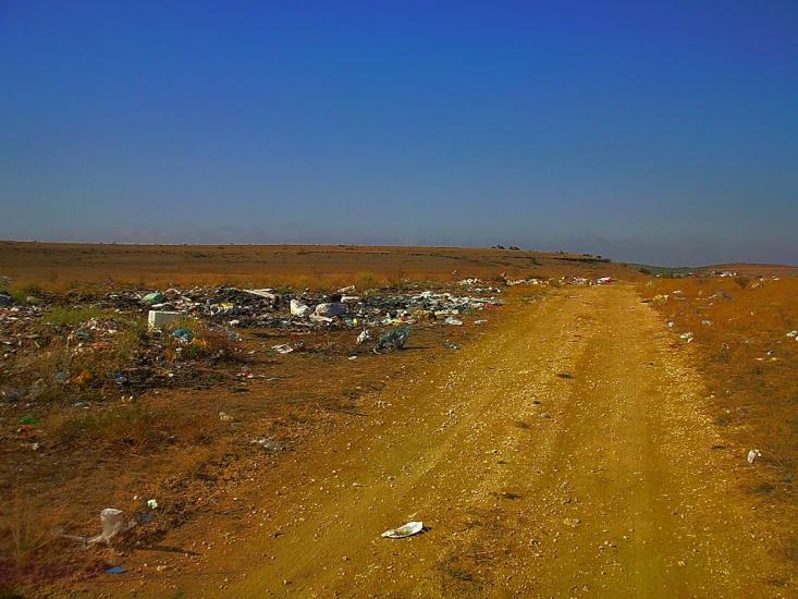 Каштани з panoramio.com - Каштани