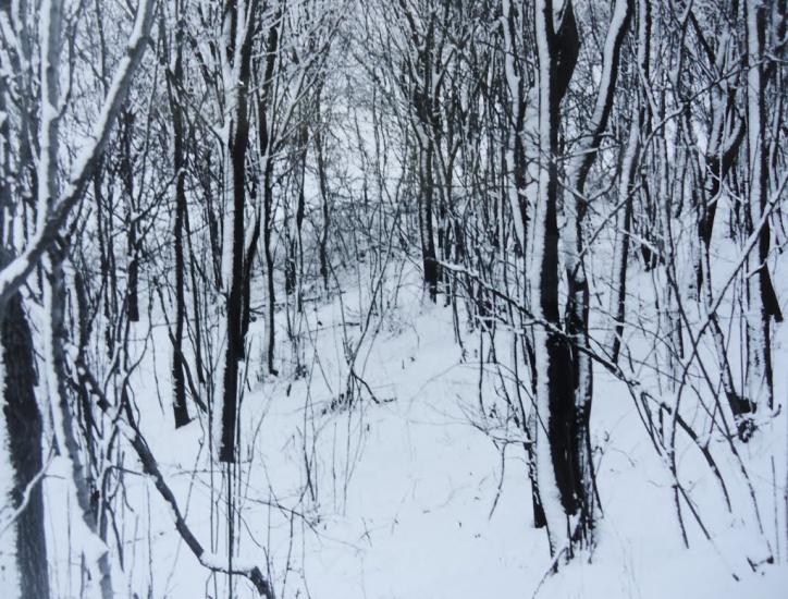 Вариводки з panoramio.com - Вариводки