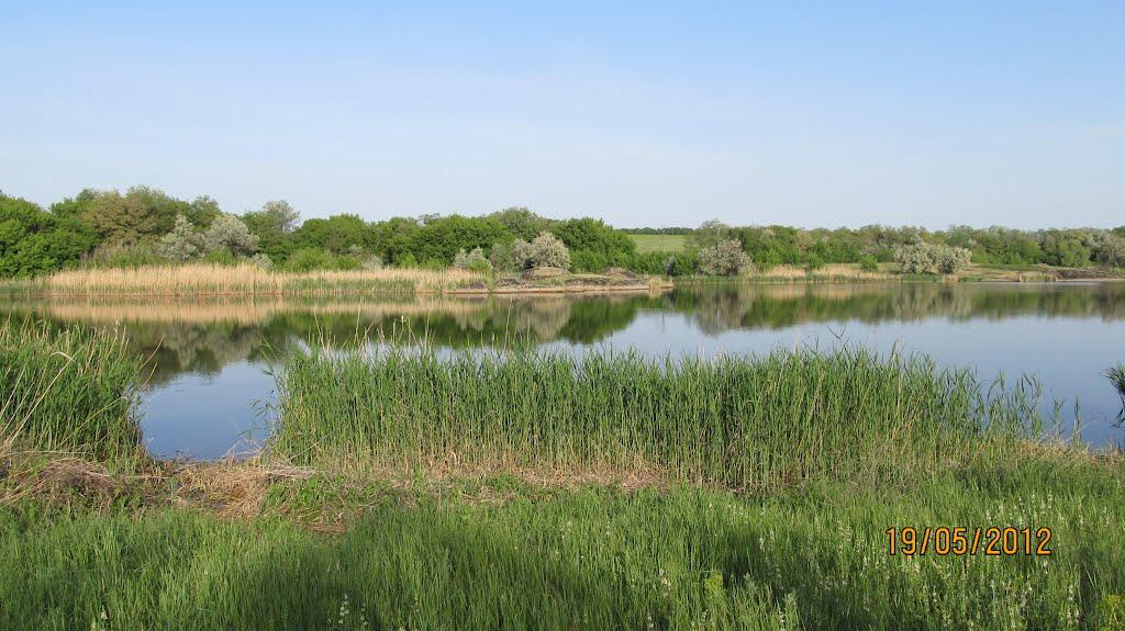 Кузнецово-Михайлівка з panoramio.com - Кузнецово-Михайлівка