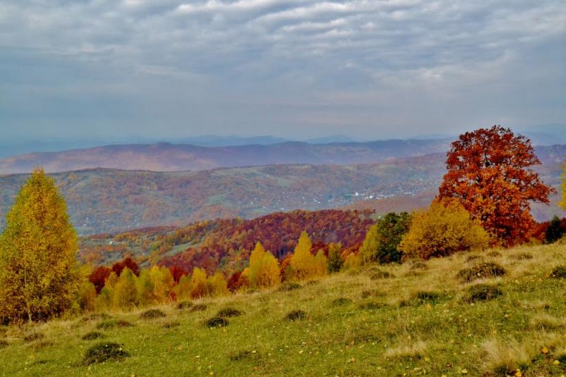 Росішка з panoramio.com - Rosishka