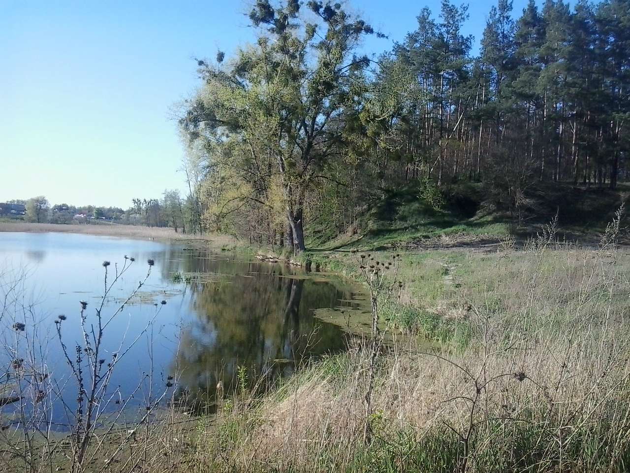 Неграшівський Неграш - Неграши