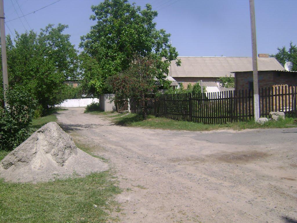 Нові Санжари з panoramio.com - Нові Санжари
