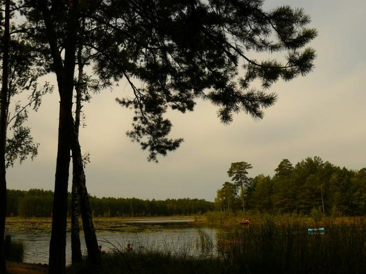 Варварівка з panoramio.com - Варварівка