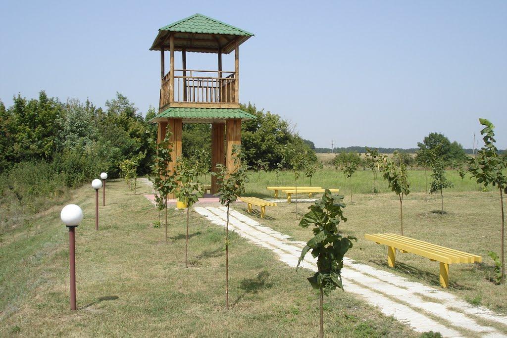 Нові Санжари з panoramio.com - Нові Санжари