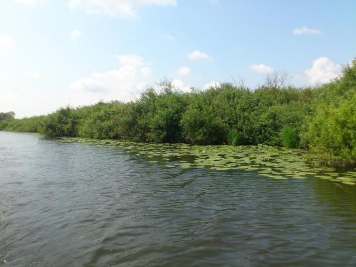 Любеч з panoramio.com - Любеч