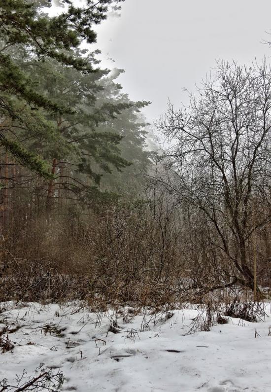 Підрясне з panoramio.com - Підрясне