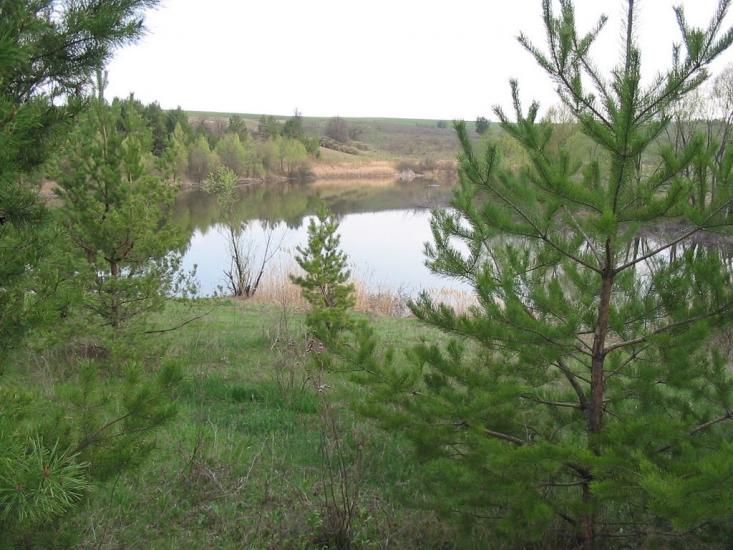 Шестакове з panoramio.com - Шестакове