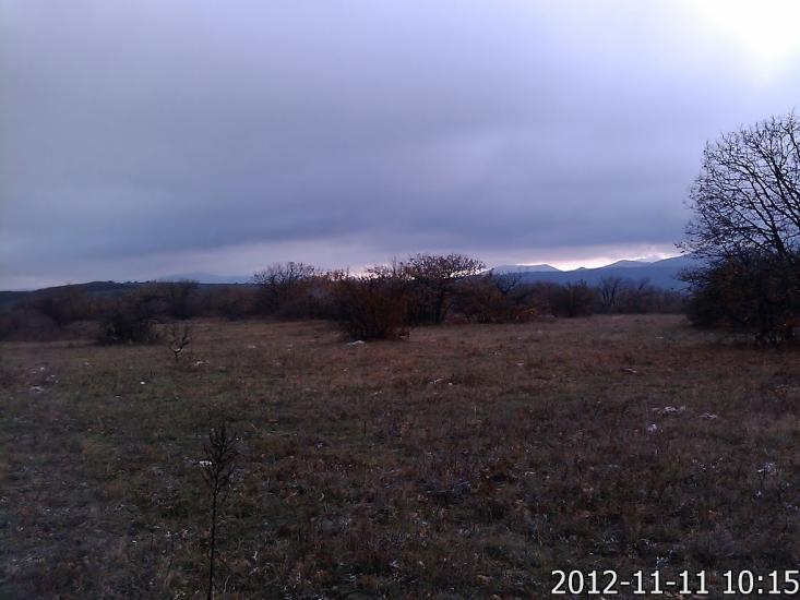 Пчолине з panoramio.com - Pcholyne
