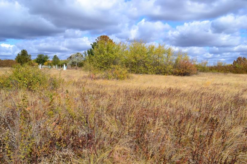 Новомлинівка з panoramio.com - Новомлинівка