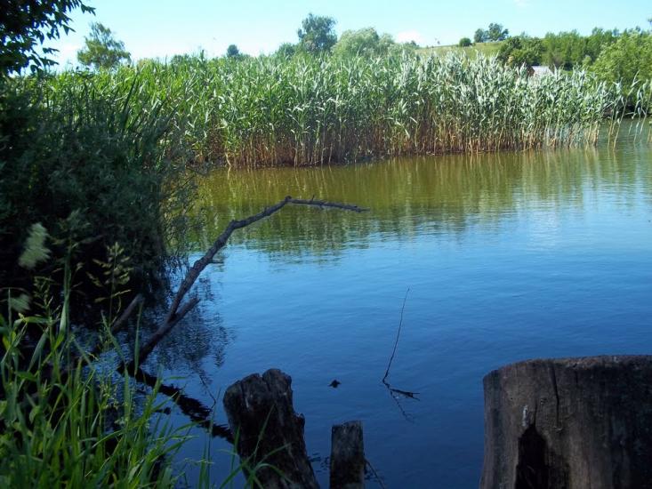 Маслії з panoramio.com - Маслии