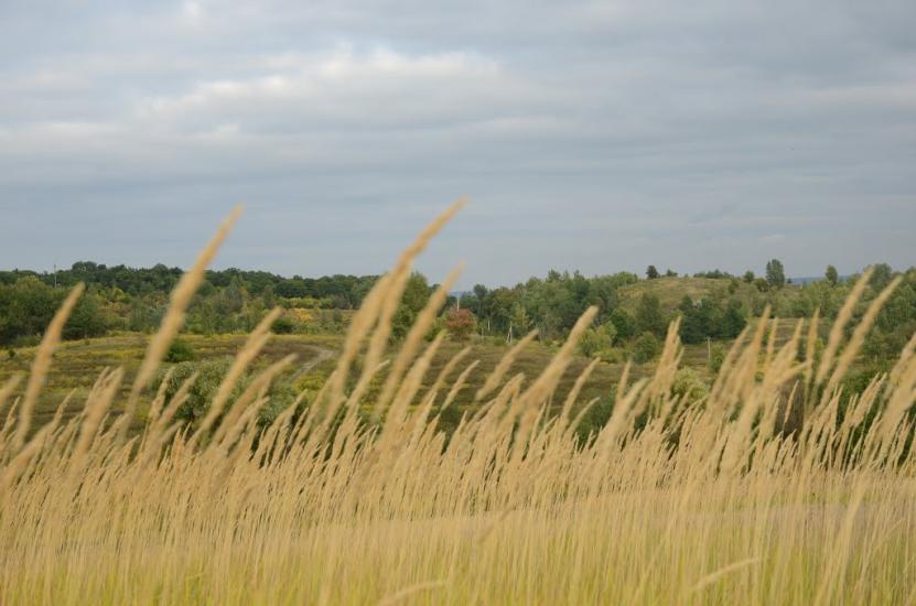 Лісники з panoramio.com - Лесники
