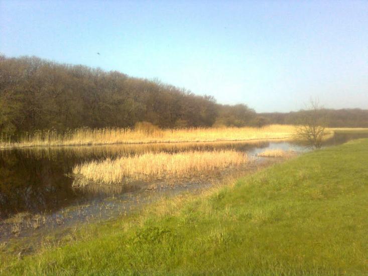 В'язівок з panoramio.com - В'язівок