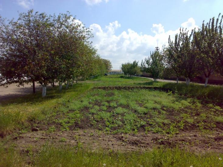 Слов'яносербка з panoramio.com - Слов'яносербка