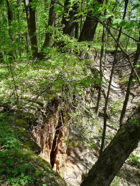 Кам'янка з panoramio.com - Каменка