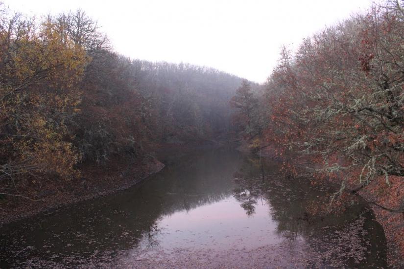 Синапне з panoramio.com - Синапне