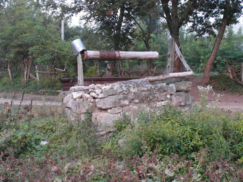 Тарноруда з panoramio.com - Tarnoruda