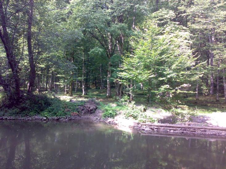 Поляна з panoramio.com - Поляна