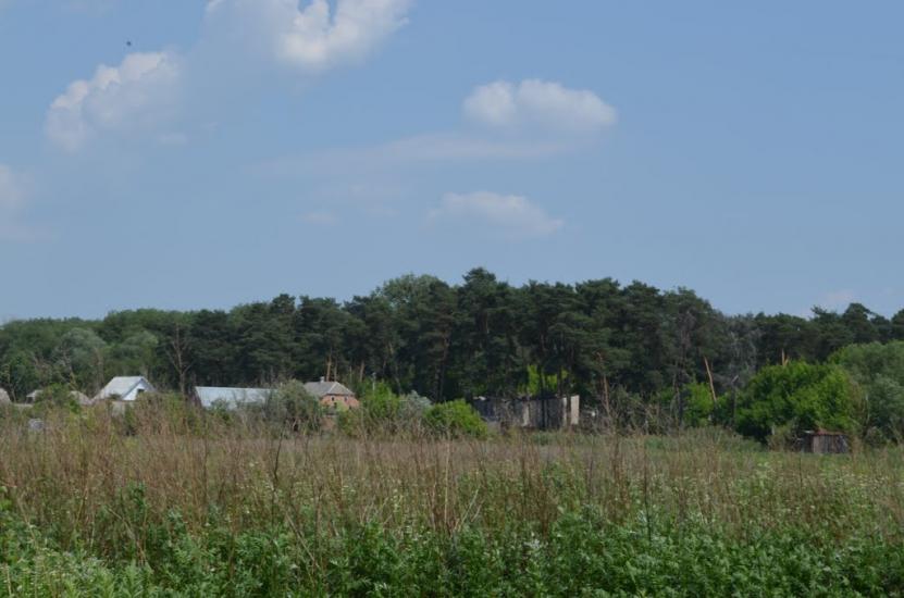 Дергачі з panoramio.com - Dergachi