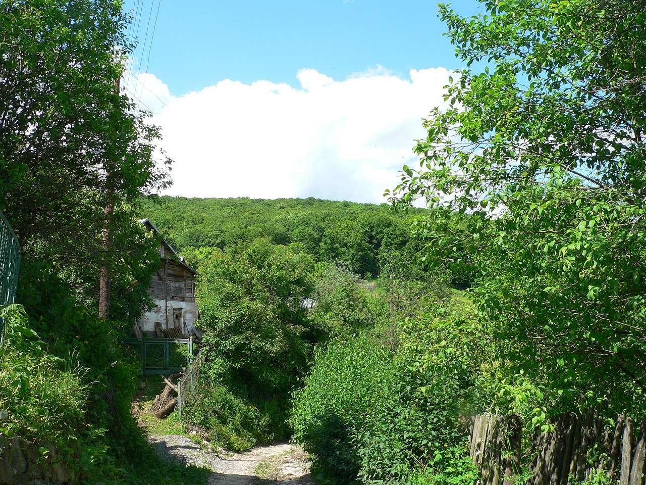 Кренцилів - Кринцілів