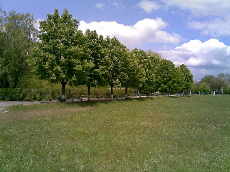 Братсько-Семенівка з panoramio.com - Братско-Семеновка
