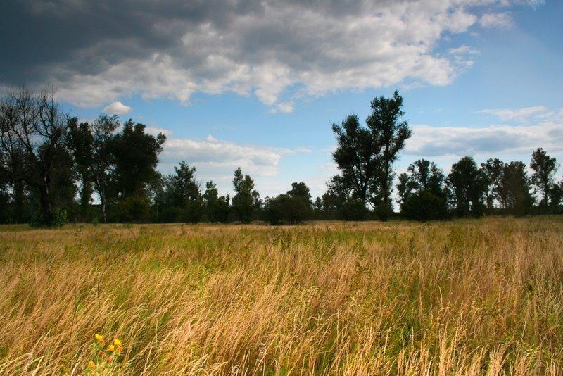 Гавронці з panoramio.com - Гавронці