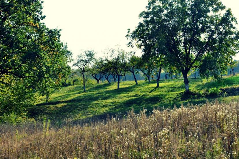 Молодія з panoramio.com - Молодія